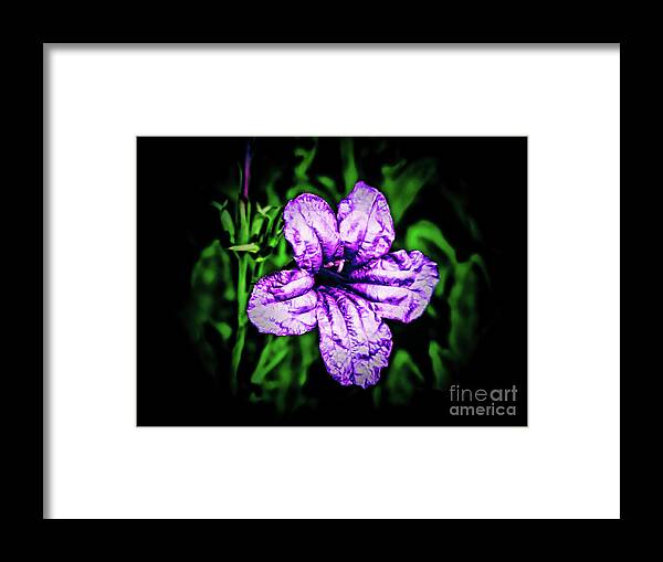 Flower Framed Print featuring the photograph Purple Radiance by JB Thomas
