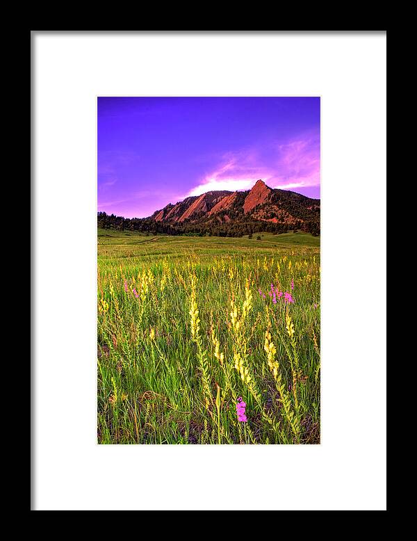 Colorado Framed Print featuring the photograph Purple Skies and Wildflowers by Scott Mahon