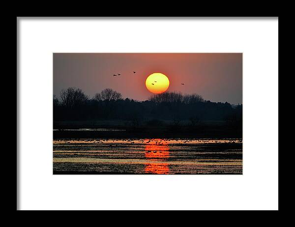 Marsh Framed Print featuring the photograph Purple Sunset by Bonfire Photography