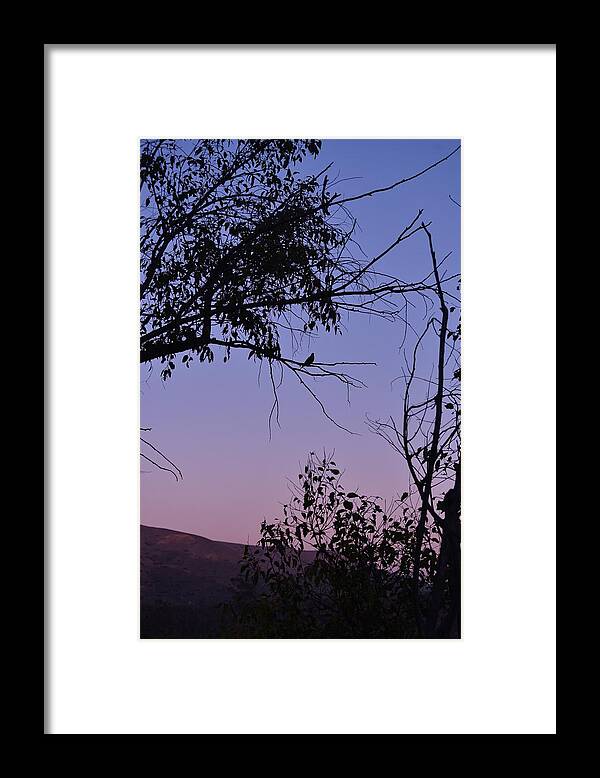 Linda Brody Framed Print featuring the photograph Purple Sunset with Tree and Bird Silhouette by Linda Brody