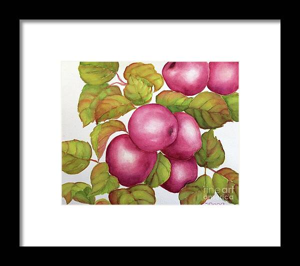 Apples Framed Print featuring the painting Purple variety by Inese Poga