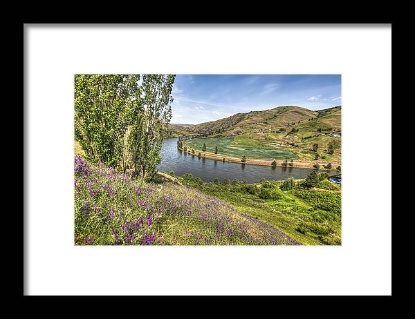 Purple Framed Print featuring the photograph Purple Wildflowers on the Hillside by Brad Stinson