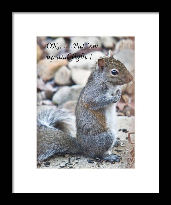 Put Framed Print featuring the photograph Put Em Up and Fight by Douglas Barnett