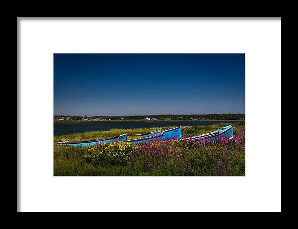 Wildflowers Framed Print featuring the photograph Put Out To Pature by Peter Scott
