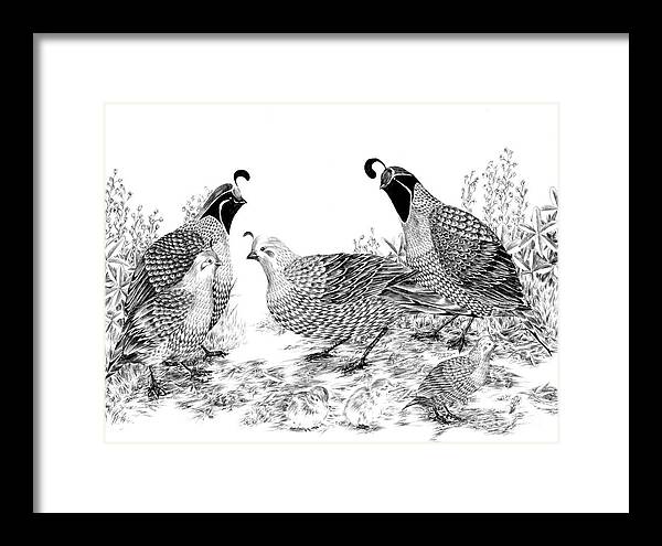 Quail Framed Print featuring the drawing Quail Family Reunion by Alice Chen