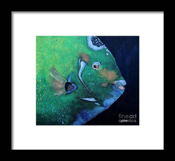 Fish Framed Print featuring the painting Queen Angelfish by Barbara Teller
