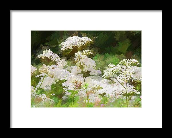 Queen Anne's Lace Framed Print featuring the photograph Queen Annes Lace. by Rob Huntley