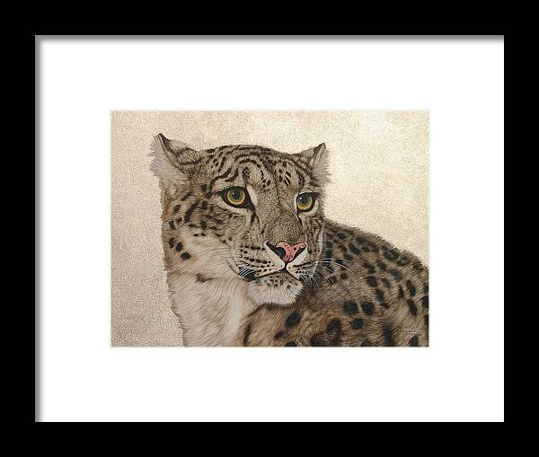 Snow Leopard Framed Print featuring the painting Queen of the Himalayas by Jacquie Vaux