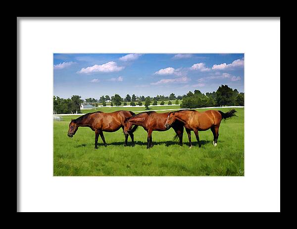 Horse Framed Print featuring the photograph Queens of Calumet by Sam Davis Johnson