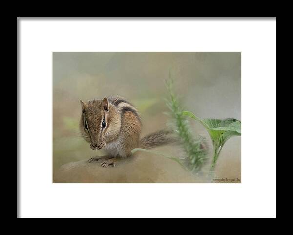  Nature's Critters Framed Print featuring the photograph Quiet Lunch by Mary Clough
