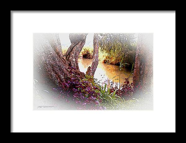 Stream Framed Print featuring the photograph Quiet Stream by Pat Wagner