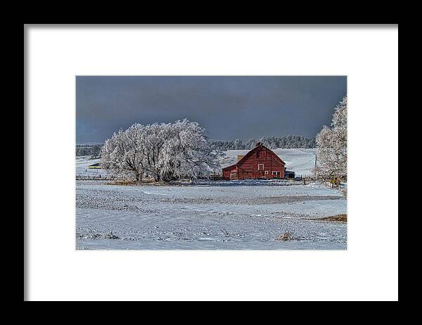 Winter Framed Print featuring the photograph Quiet Time at the Ranch by Alana Thrower