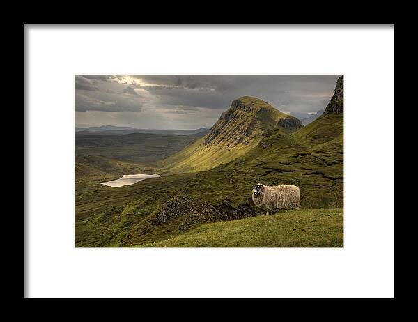 Quiraing Framed Print featuring the photograph Quiraing Sheep by Wade Aiken