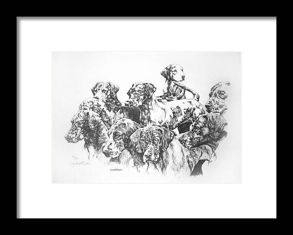 Hunting Framed Print featuring the drawing Quorn Hounds by David McEwen