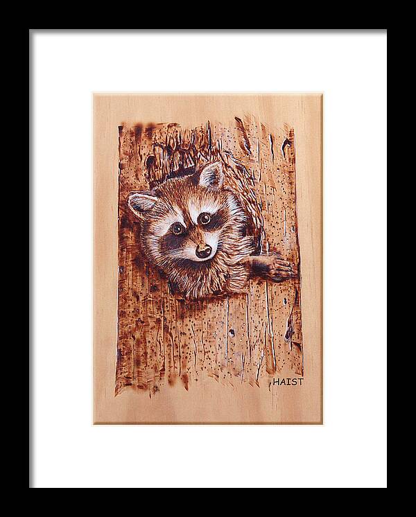 Raccoon Framed Print featuring the pyrography Raccoon by Ron Haist
