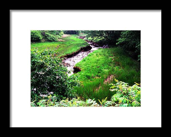 Branch Brook Framed Print featuring the photograph Rachel Carson National Wildlife Refuge by Thomas R Fletcher