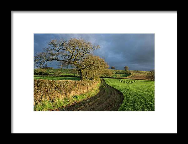 Raddon Top Devon Framed Print featuring the photograph Raddon Top in Mid Devon by Pete Hemington