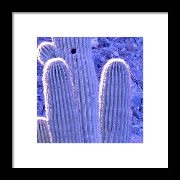 Arizona Framed Print featuring the photograph Radiant Arms by Judy Kennedy
