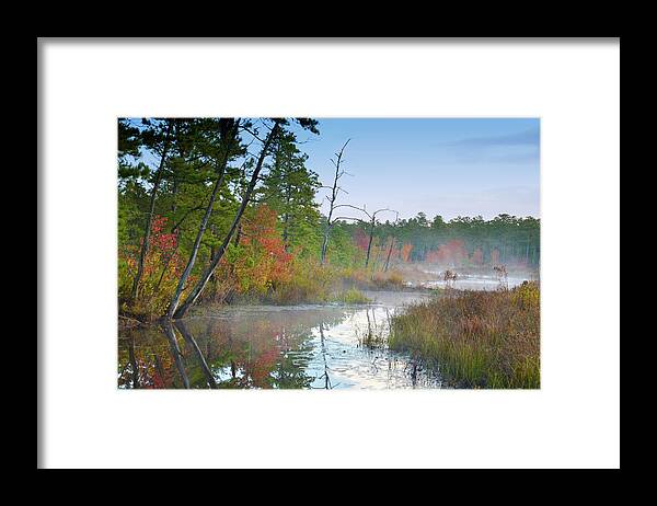 Autumn Framed Print featuring the photograph Radiant Morning by Jim Cook