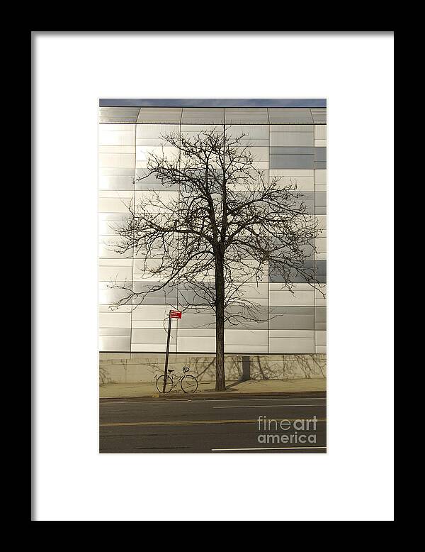 Tree Framed Print featuring the photograph Rage Against The Sign by Scott Evers