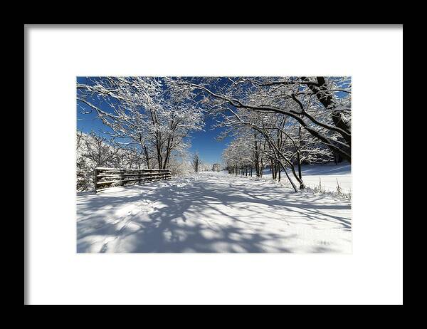 Snow; Frozen; Scene; Winter; Trail; Snow Scene Framed Print featuring the photograph Rail trail on snowy day by Dan Friend