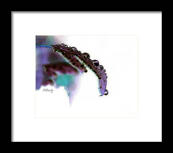 Rain On Rose Leaf Abstract Framed Print featuring the photograph Rain on Rose Leaf Abstract by Natalie Dowty