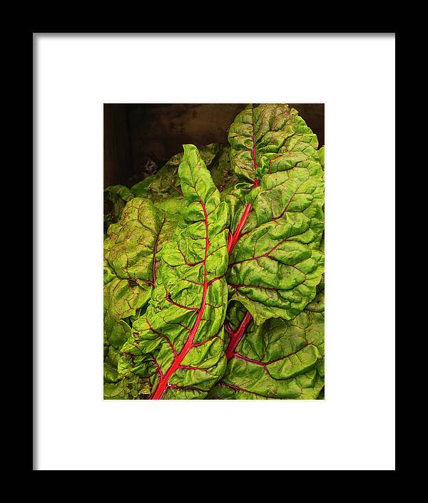 Chard Framed Print featuring the photograph Rainbow chard by David Kay