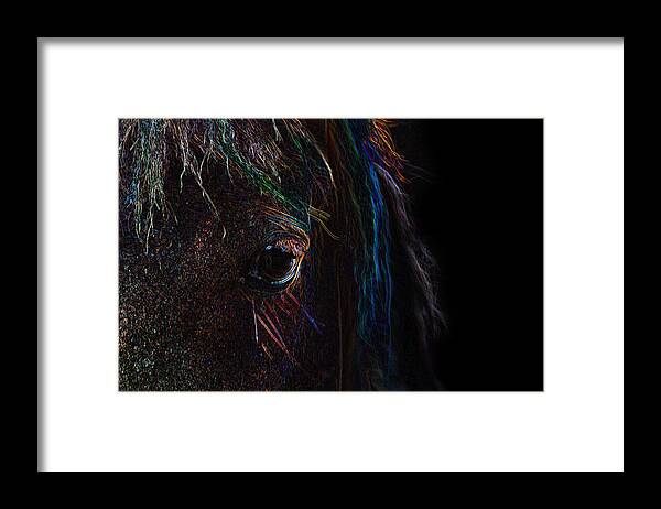 Photograph Framed Print featuring the photograph Rainbow Horse Eye by Larah McElroy