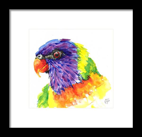 Bird Framed Print featuring the painting Rainbow Lorikeet by Chris Hobel