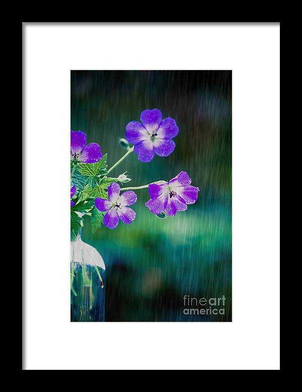 Flower Framed Print featuring the photograph Rainy Days and Mondays by Jan Bickerton