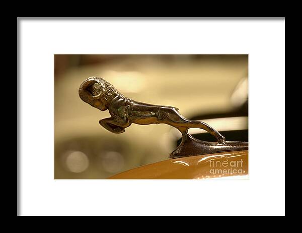 Dodge Framed Print featuring the photograph Ram Truck Hood Ornament by Patricia Strand