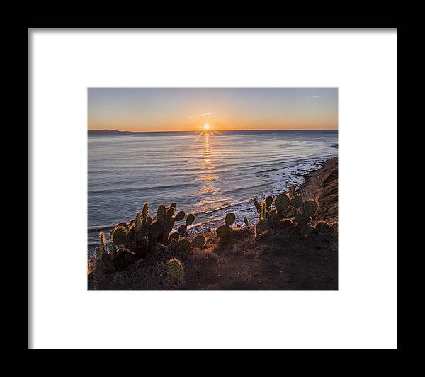 Art Framed Print featuring the photograph Rancho Gold g by Denise Dube