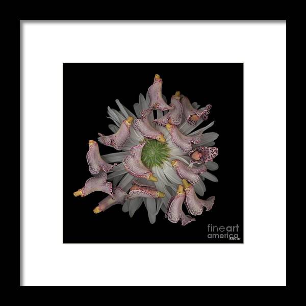  Framed Print featuring the photograph Random Sample by Heather Kirk