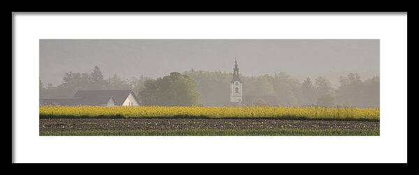 Brnik Framed Print featuring the photograph Rapeseed by Ian Middleton