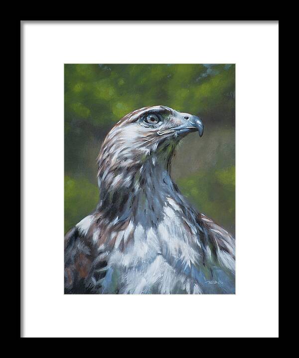 Accipitridae Framed Print featuring the painting Raptor by Christopher Reid