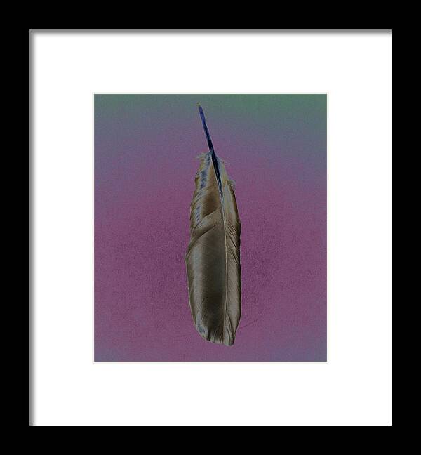 Feather Framed Print featuring the photograph Raven Feather by Marilynne Bull
