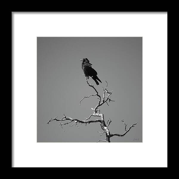 Raven Framed Print featuring the photograph Raven III by David Gordon