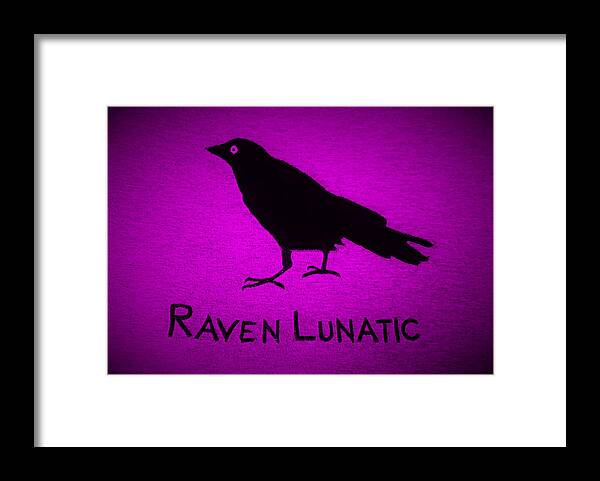 Bird Framed Print featuring the photograph Raven Lunatic Purple by Rob Hans