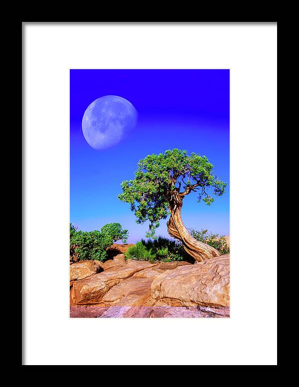 Moon Framed Print featuring the photograph Reaching for the Moon by Mike Stephens