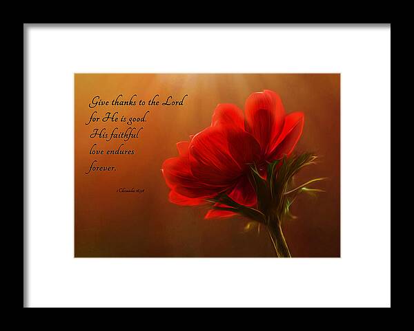 Flower Framed Print featuring the photograph Reaching Inspiration by Mary Jo Allen