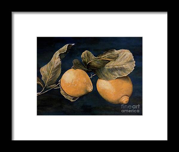 Lemons Framed Print featuring the painting Ready for Picking by Judy Kirouac