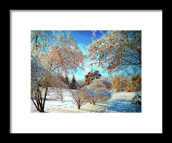 Winter Framed Print featuring the photograph Realm of the Ice Queen by Rodney Campbell