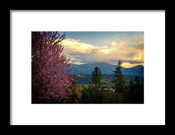 Photo Art Framed Print featuring the photograph Rebirth In The Rogue by Mick Anderson