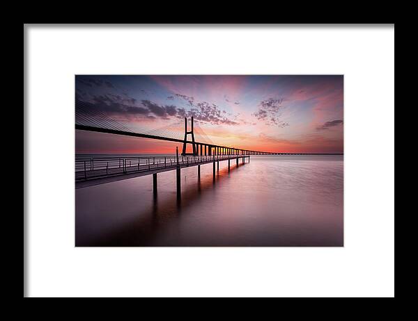 Lisbon Framed Print featuring the photograph Reborn by Jorge Maia