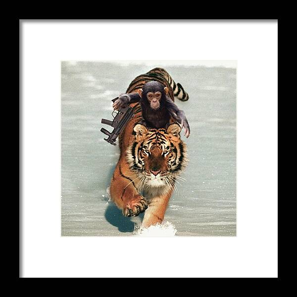 Baby Framed Print featuring the photograph She asked for a chimp... by The Coco