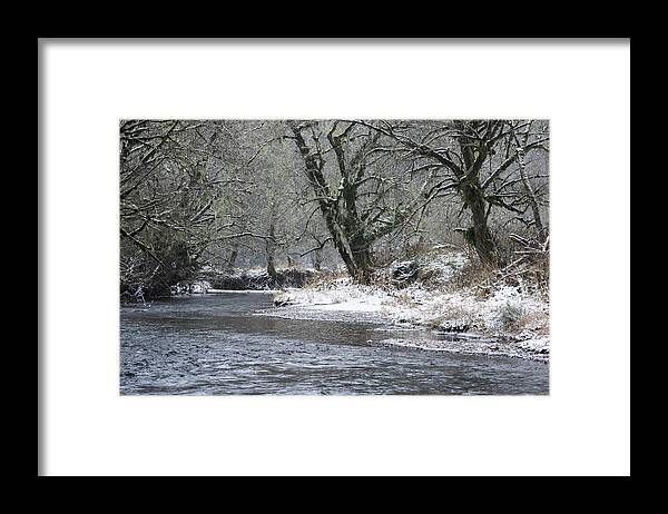 Clatsop County Framed Print featuring the photograph Red Alder and Youngs River by Robert Potts