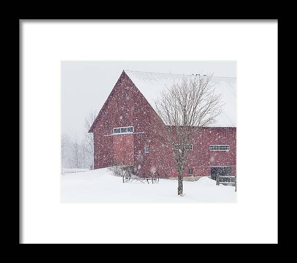 Winter Framed Print featuring the photograph Red Barn Nor'easter by Alan L Graham