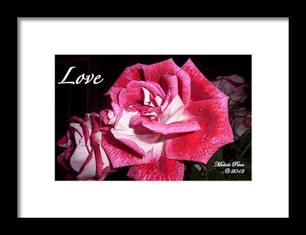 Love Framed Print featuring the photograph Red Beauty 3 - Love by Michele Penn