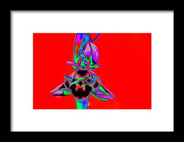 Flowers Framed Print featuring the photograph Red Bee Orchid by Richard Patmore