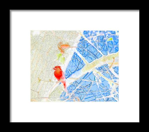 #south #georgia #cardinal On #bright #blue #sky Framed Print featuring the photograph Red Bird Watching Over by Belinda Lee